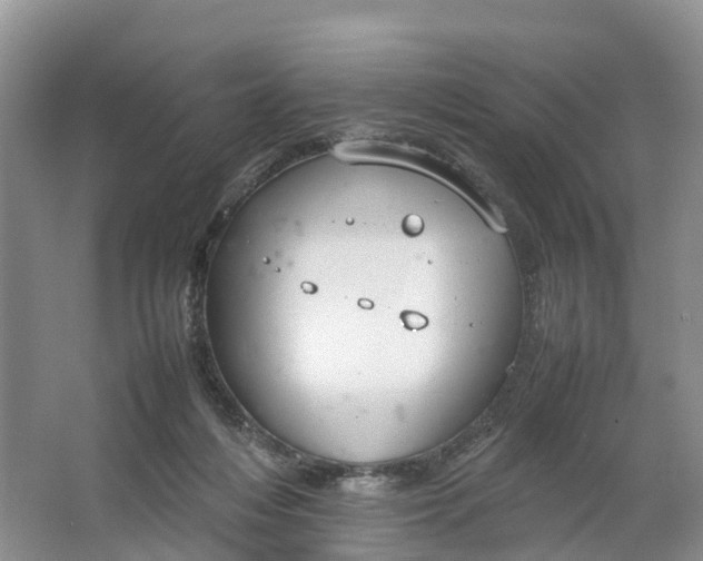 X0000064730216200602241731