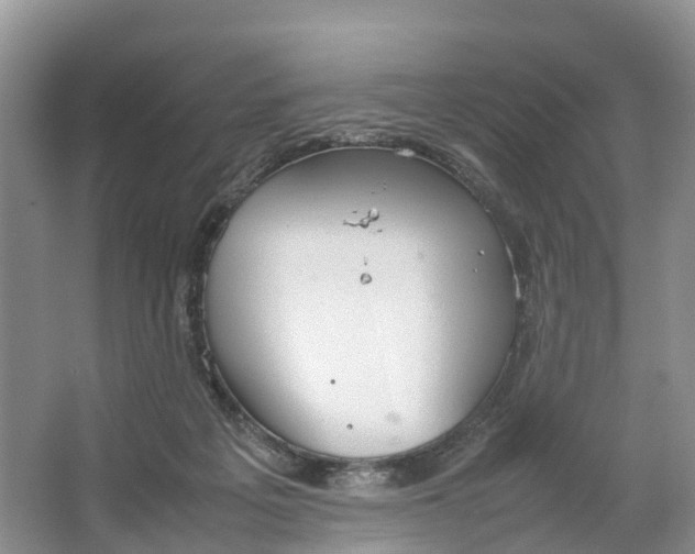 X0000064730217200602241731