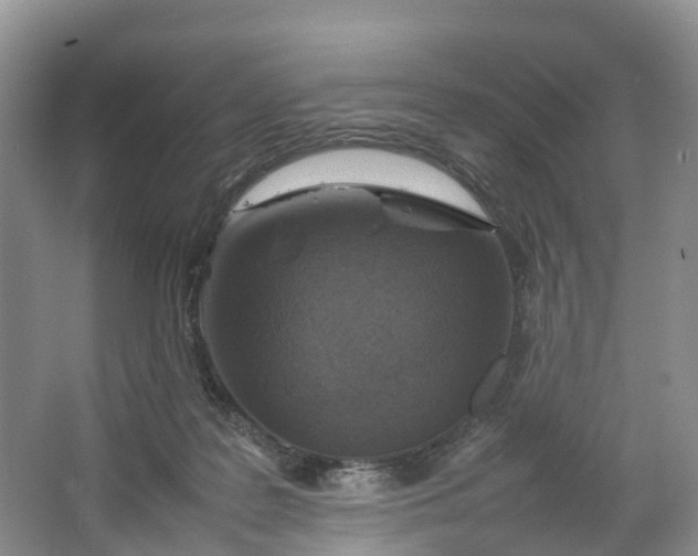 X0000064730219200602241731