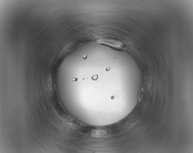 X0000064730220200602241731