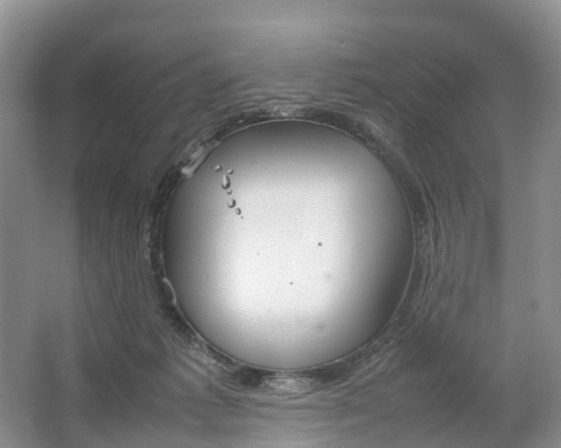 X0000064730221200602241731