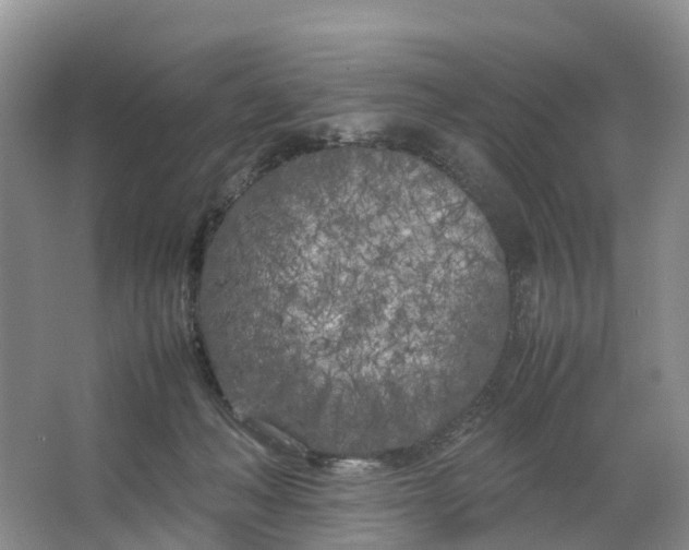 X0000064730222200602241731