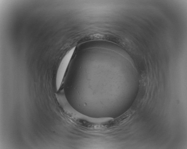 X0000064730223200602241731