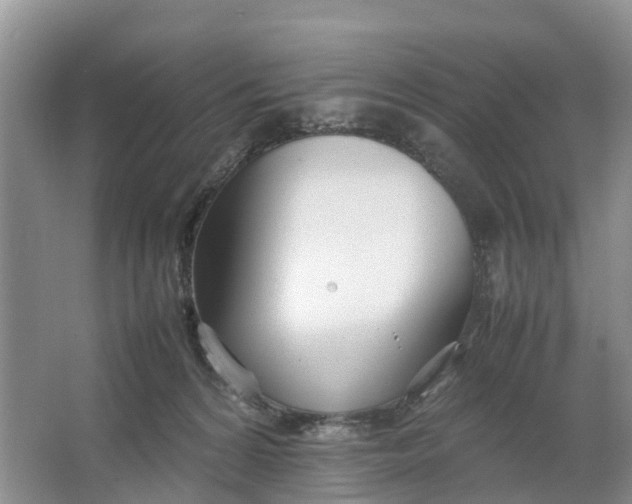 X0000064730224200602241731