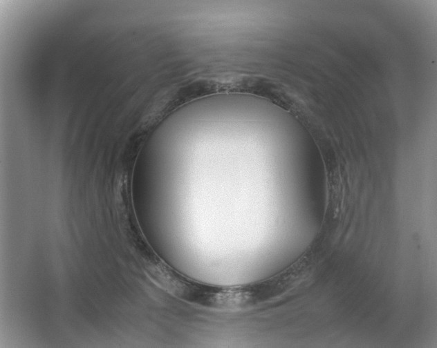 X0000064730225200602241731