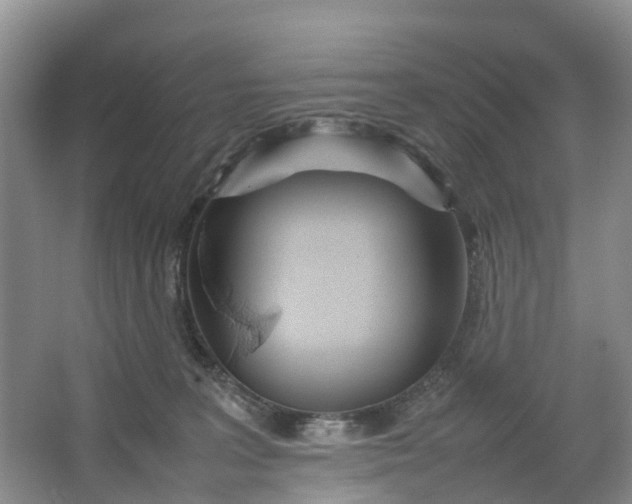 X0000064730227200602241731