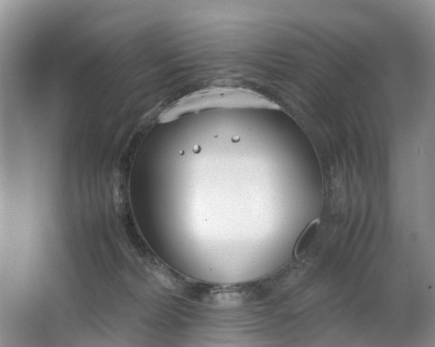 X0000064730228200602241731