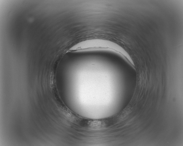 X0000064730230200602241731