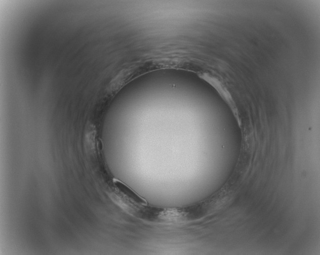 X0000064730231200602241731