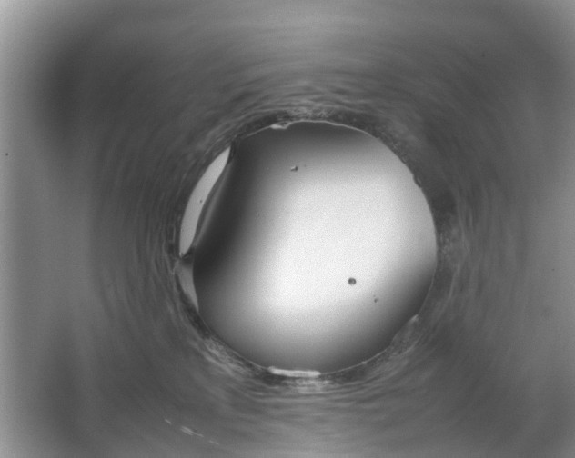 X0000064730233200602241730