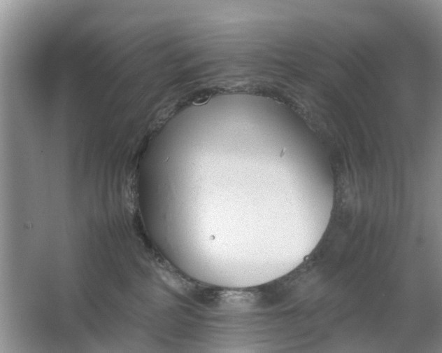 X0000064730234200602241730