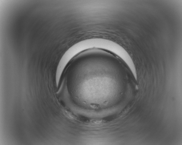 X0000064730235200602241730