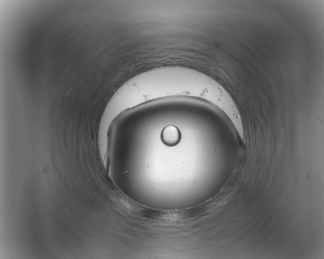 X0000064730237200602241730