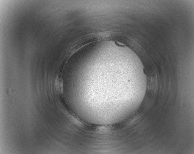 X0000064730238200602241730