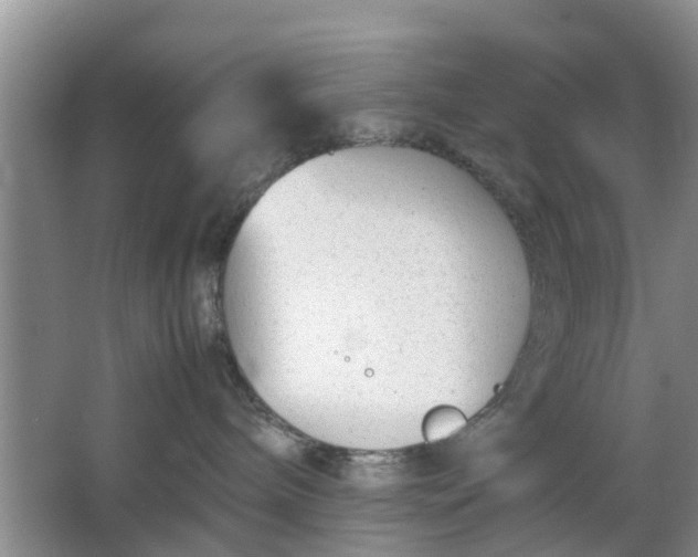 X0000064730240200602241730