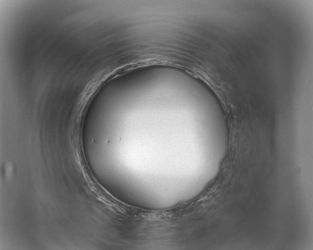 X0000064730241200602241729