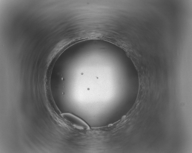 X0000064730242200602241729