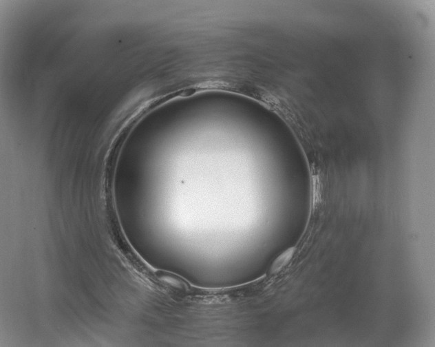 X0000064730243200602241729