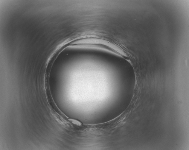 X0000064730244200602241729