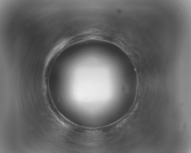 X0000064730245200602241729