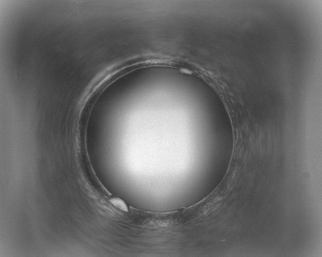 X0000064730247200602241729