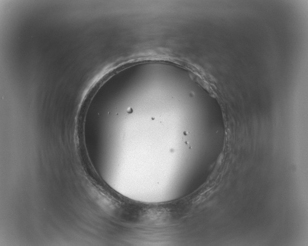 X0000064730248200602241729