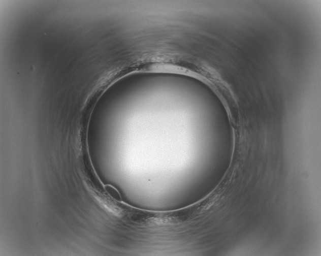 X0000064730250200602241729