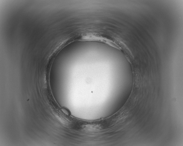 X0000064730251200602241729