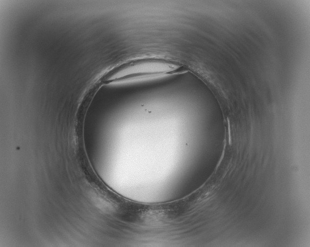 X0000064730252200602241729