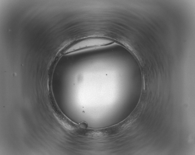 X0000064730253200602241729