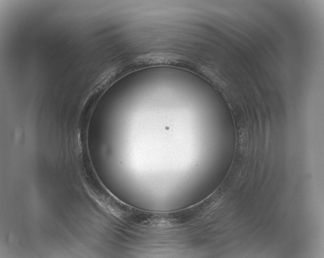 X0000064730254200602241729