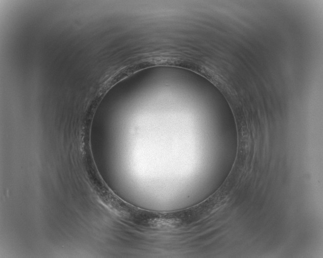 X0000064730255200602241729