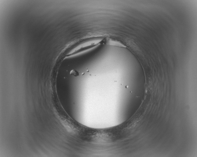 X0000064730256200602241729