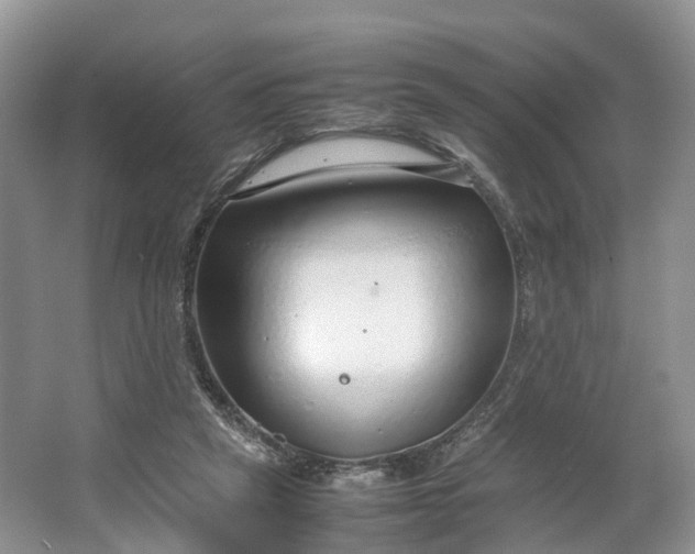 X0000064730257200602241729