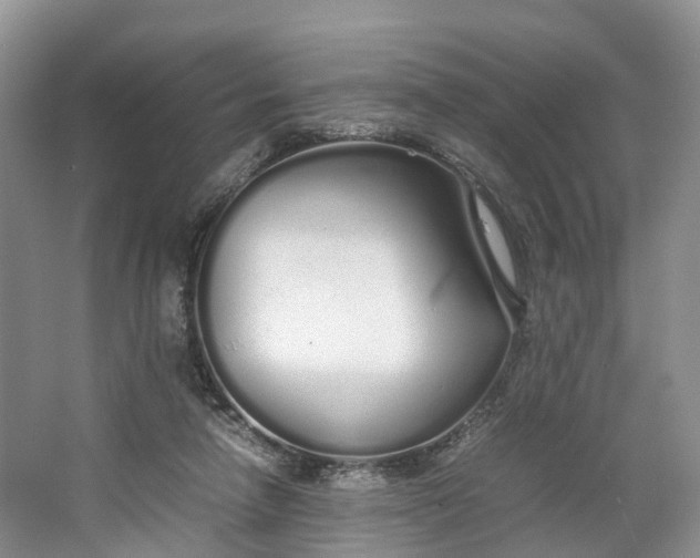 X0000064730258200602241730