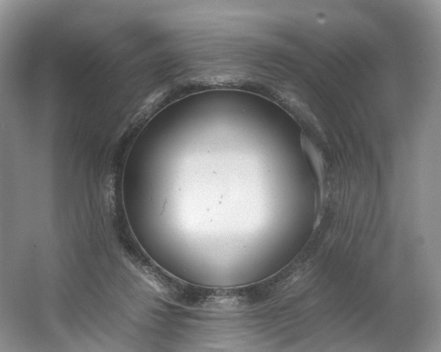 X0000064730260200602241730