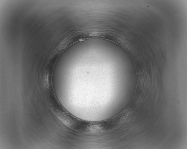 X0000064730262200602241730