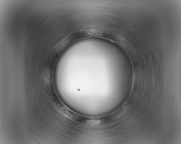 X0000064730266200602241730