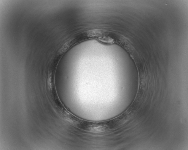 X0000064730267200602241730