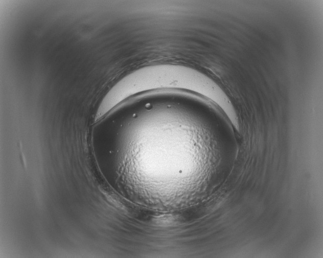 X0000064730269200602241730