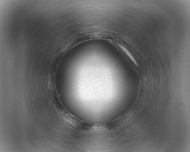 X0000064730270200602241730