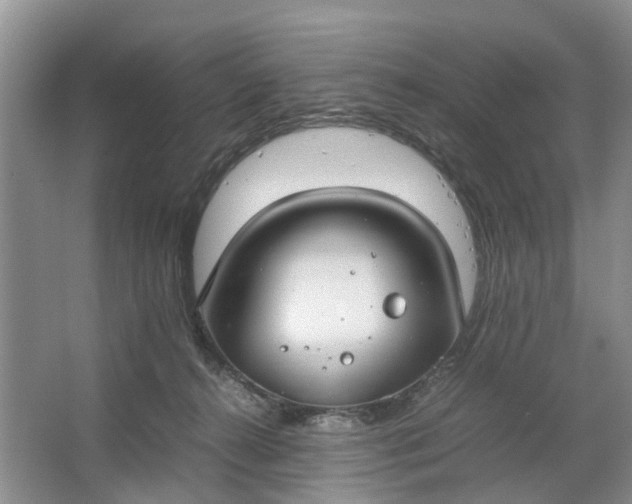 X0000064730272200602241730