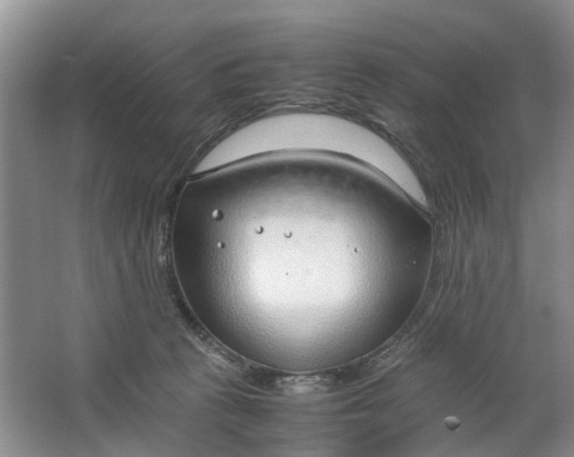 X0000064730273200602241730