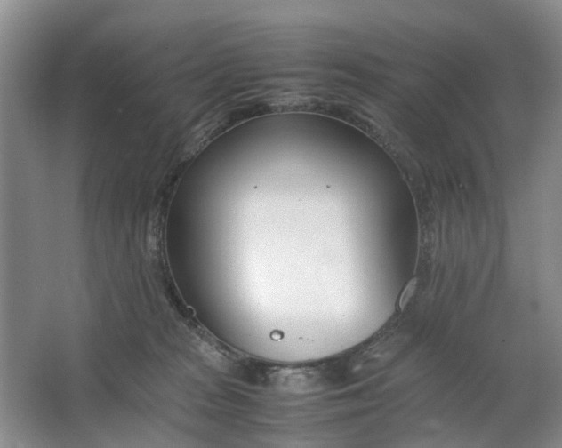 X0000064730277200602241730