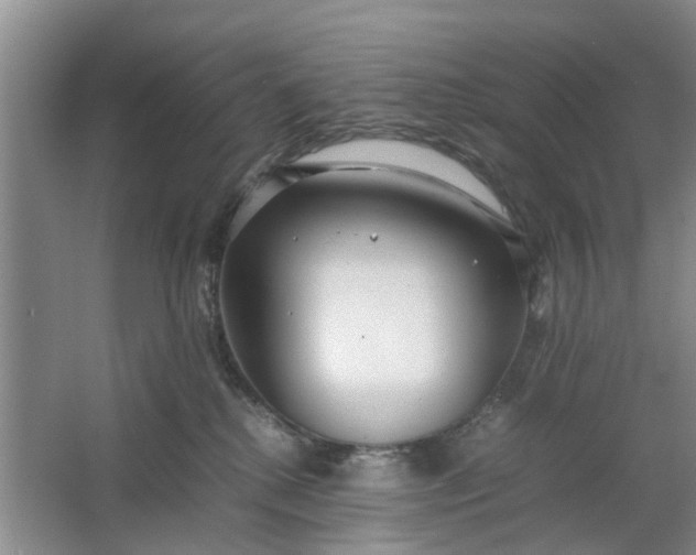 X0000064730280200602241730