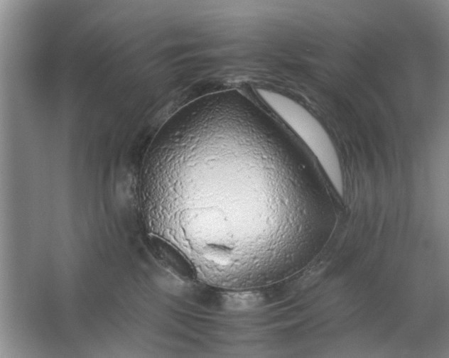 X0000064730281200602241730