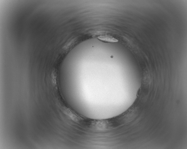 X0000064730282200602241730