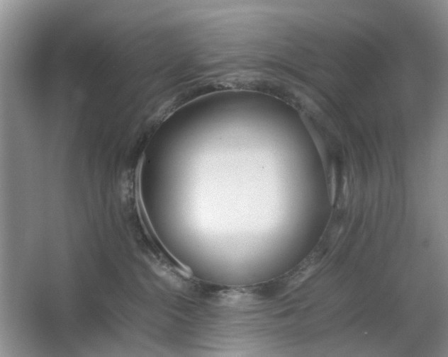 X0000064730284200602241730