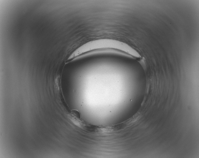 X0000064730286200602241730