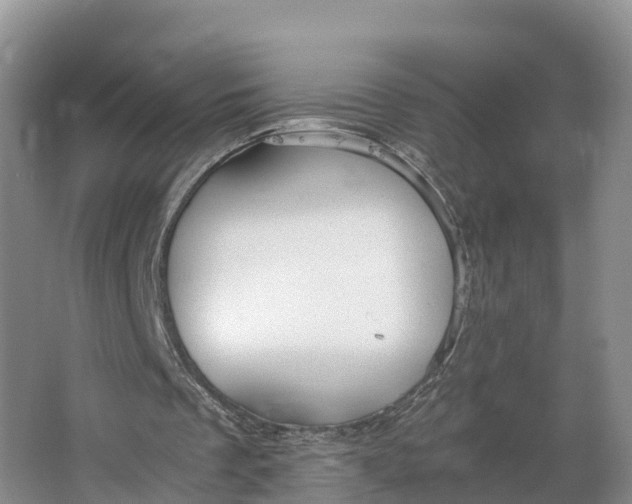 X0000064730289200602241729